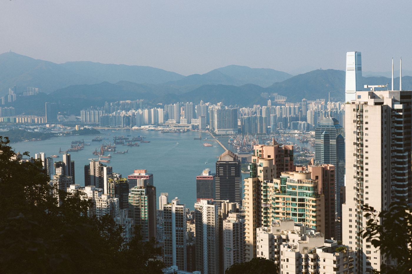 香港城市建築,連接本地企業的科技需要